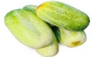 Local cucumber en
