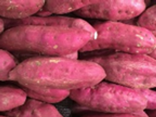 Sweetpotatoes pack en