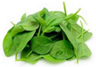 Green Spinach