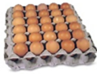Farm Eggs Full Tray, 30 Eggs
