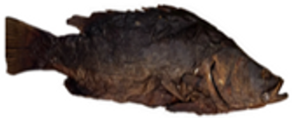 Smoked nile perch en