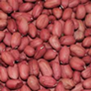 G.nuts Seeds, 7kg