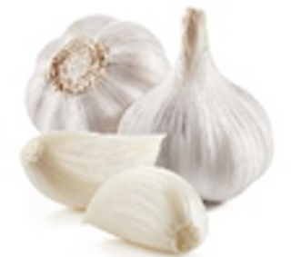 Local garlic en