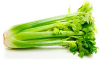 Green Celery