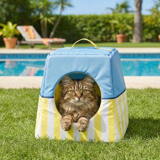 Summer Vibes Cama Cueva Azul Y Amarillo Para Gatos (35X35X35)