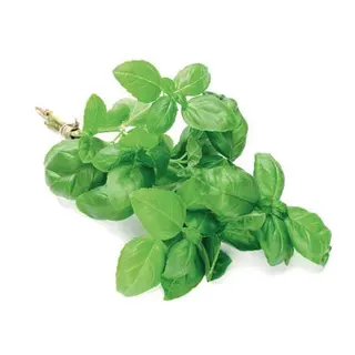 Basil bunch