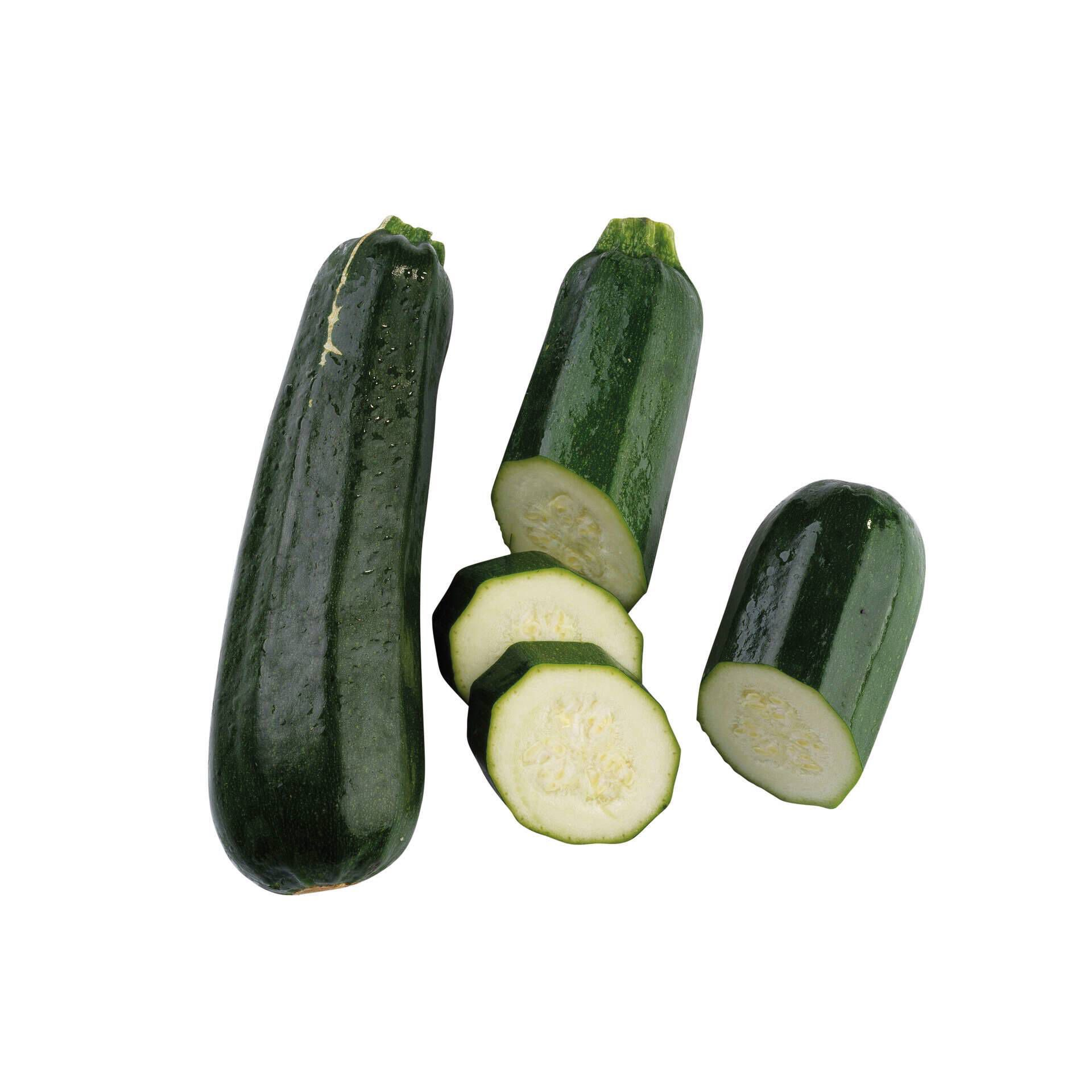Biológicos