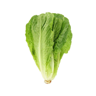 Salad lettuces 1kg
