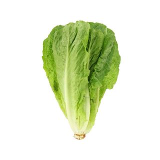 Salad lettuces 1kg