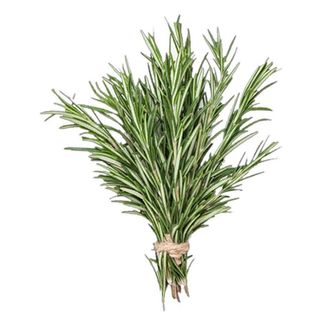 Rosemary 1bunch