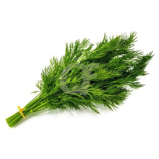Dill 1bunch