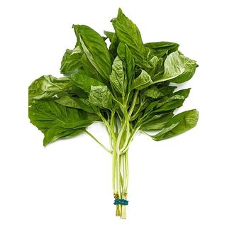 Basil 1bunch