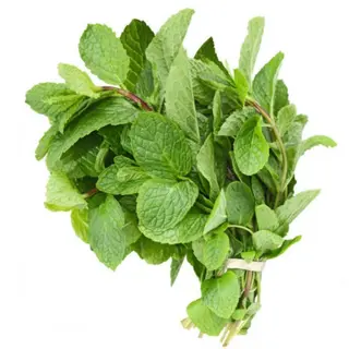 Mint leaves 1bunch