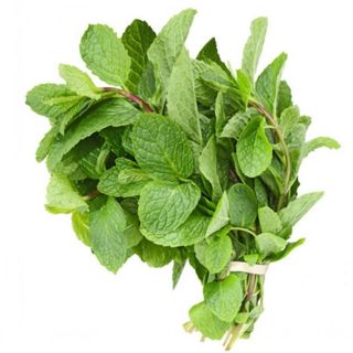 Mint leaves 1bunch