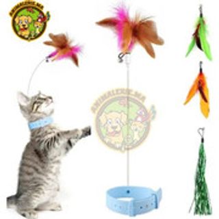 JOUET INTERACTIF POUR CHT COLLIER JOUET