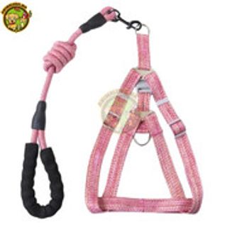 harnais plus laisse  pour chien