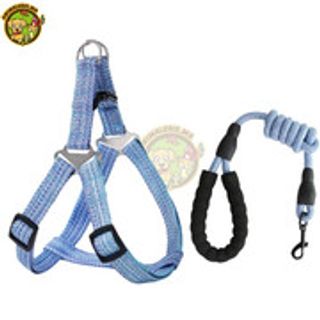 harnais plus laisse fluo pour chien