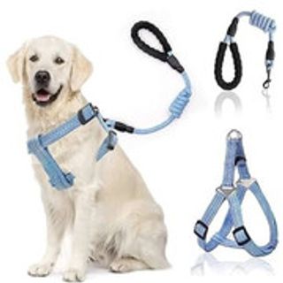 harnais plus laisse fluo pour chien