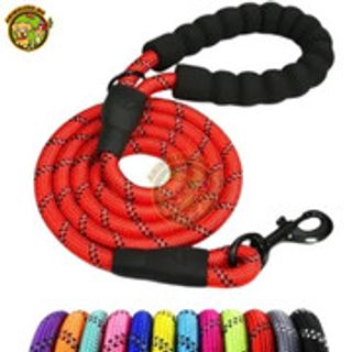 laisse plus collier en metale