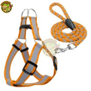 harnais plus laisse fluo pour chien