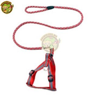 harnais plus laisse fluo pour chien