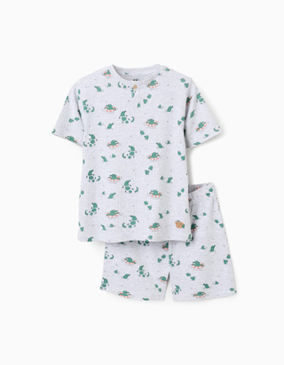 Pijama de algodão canelado com motivo de jacarés para menino, cinza/verde, Tamanho 3 - 4