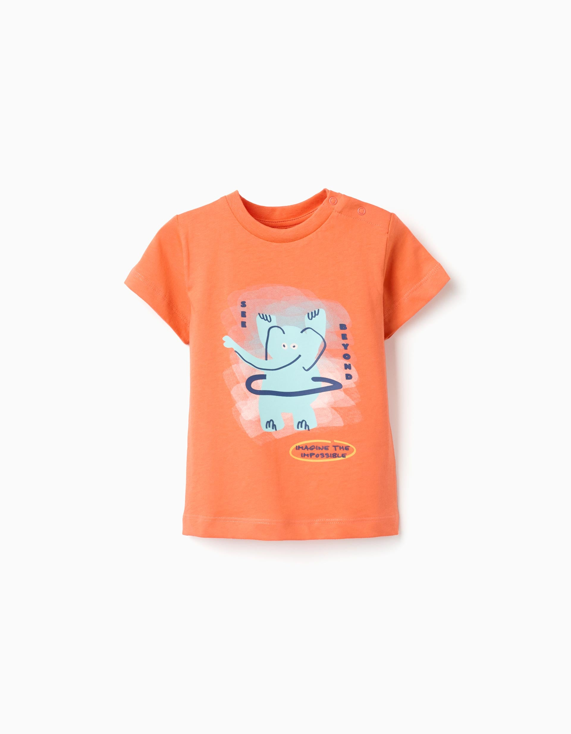 T-Shirts, Camisas e Polos Menino até 3 anos