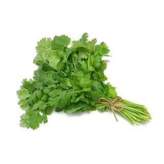 Coriander(Dania) per bunch