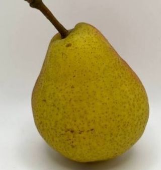 Pears per punnet