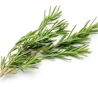 Rosemary per bunch