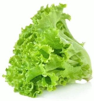 Soft lettuce per bunch