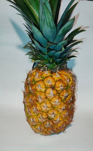 Ananas 1kom