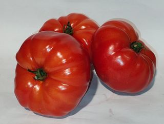 Paradajz 500g