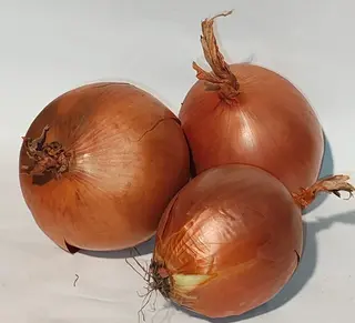 Crni luk 500g