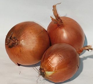 Crni luk 500g
