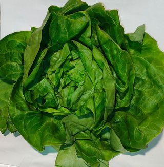 Zelena salata 1kom