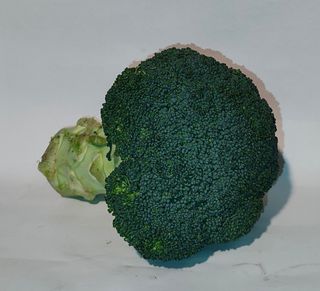 Brokoli 500g