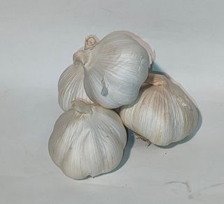 Beli luk 1kom