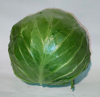 Kupus 1kom