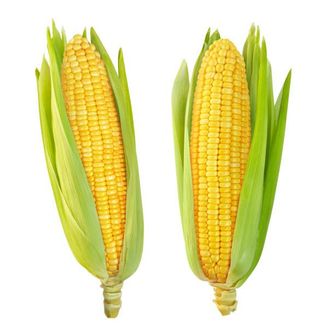 Sweet Corn, tri-pack