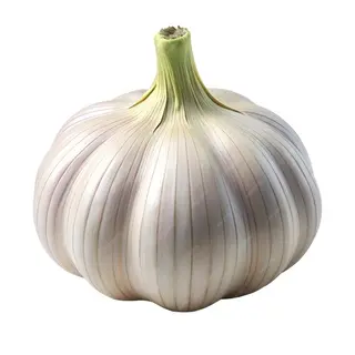Imported Garlic