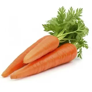 Fresh Carrots, 3 Pieces