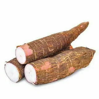 Locally Grown Cassava