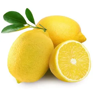Yellow Lemon Citrus, 3 Pieces