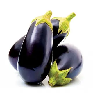 Purple Brinjal (Eggplant)