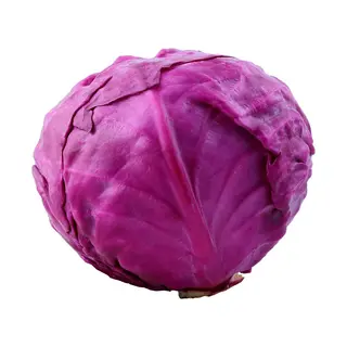 Purple Red Cabbage