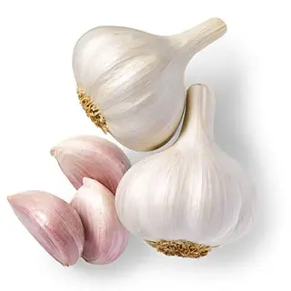 Garlic Kg