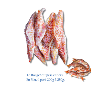 Filet de Rouget (500g)