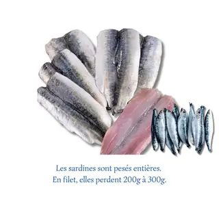 Filet de Sardines (1 kg)