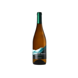 Vino Blanco Centum Terrae Albariño Rías Baixas, 75cl